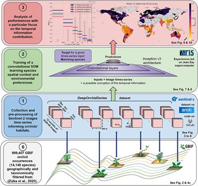 Deep Species Distribution Modeling From Sentinel-2 Image Time-Series: A Global Scale Analysis on the Orchid Family